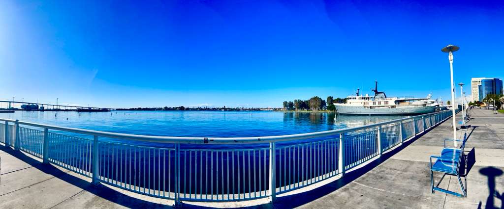 Society for Neuroscience